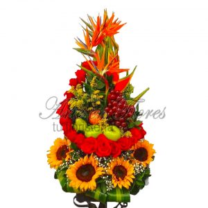 Frutero Caracol