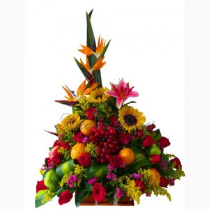 Frutero