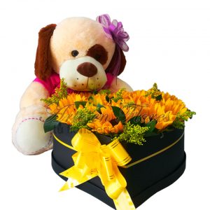 Peluche Con Girasoles