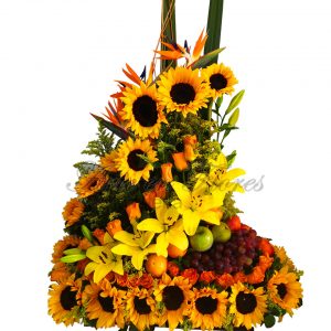 Frutero Girasol