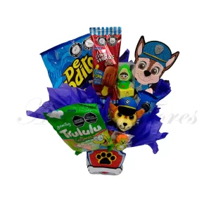 Ancheta niña Paw Patrol