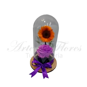 Kit girasol y rosa eterna