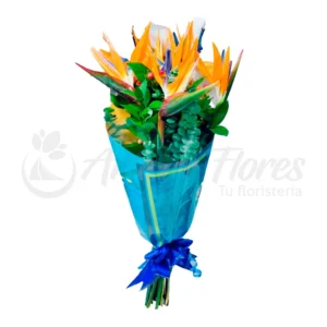 Paraiso tropical