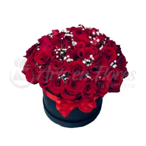 Lujo Floral