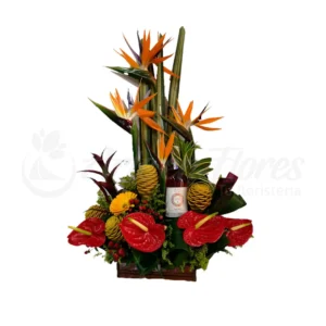 fiesta de colores