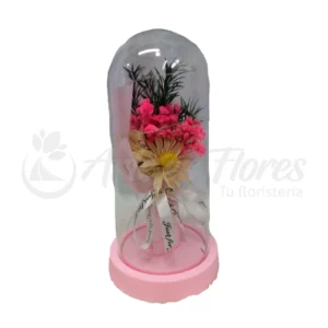 Cúpula Rosa Fucsia Pasión