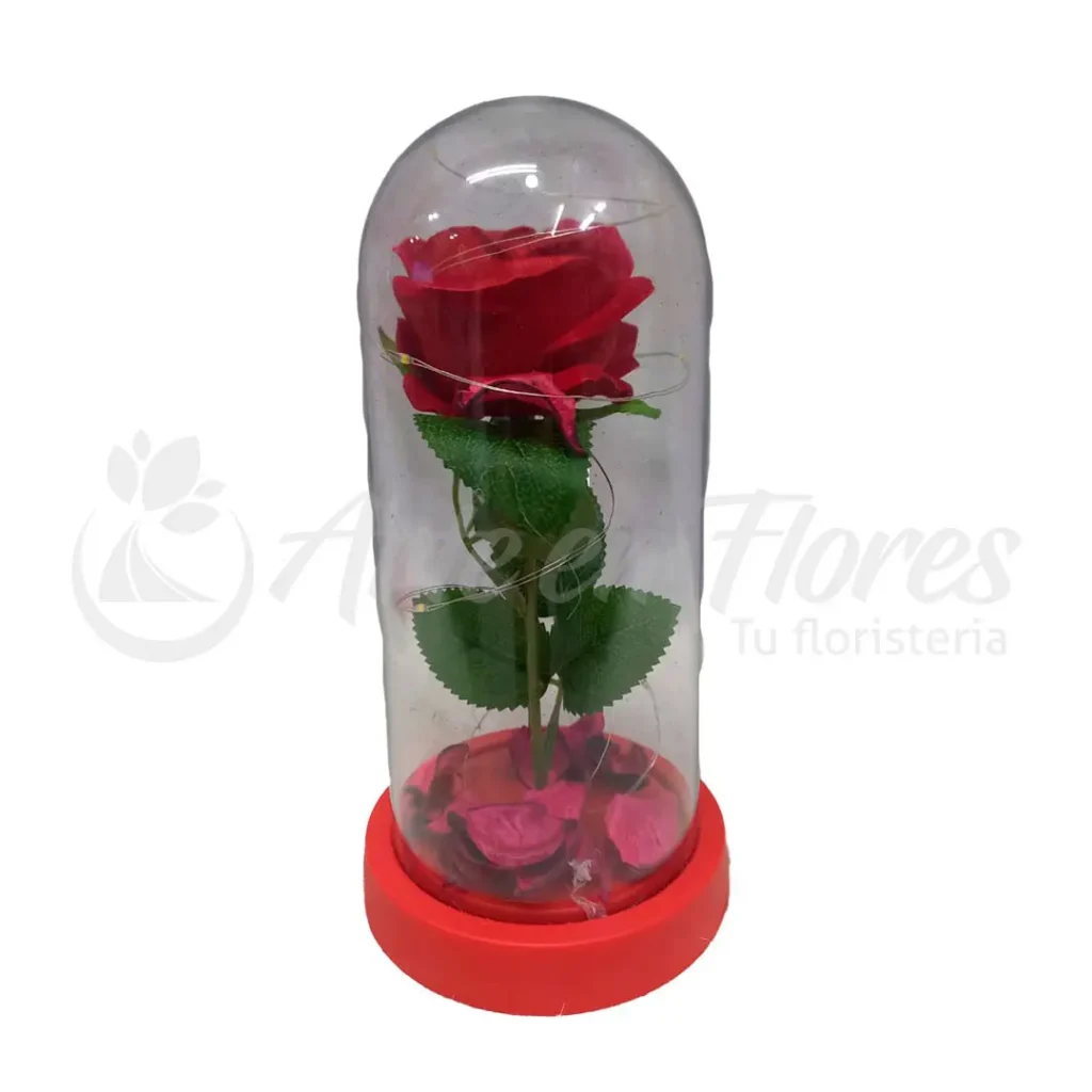 Cúpula Rosa Roja Clásica del Amor