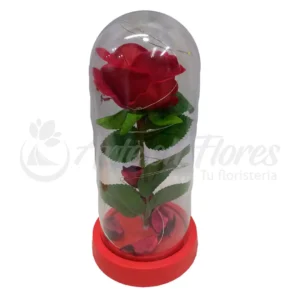 Cúpula de Amor con Rosas Rojas