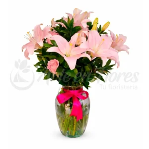 Delicadeza y Encanto